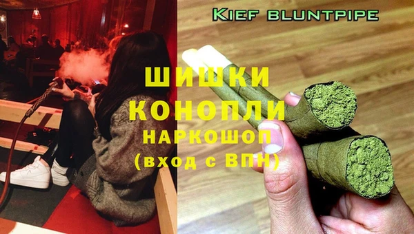 гашик Балахна