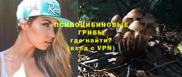 гашик Балахна